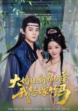 大婚日，新郎纳妾我怒嫁竹马封面图