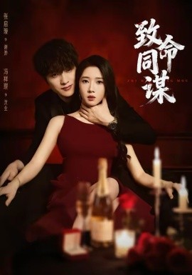 致命同谋封面图