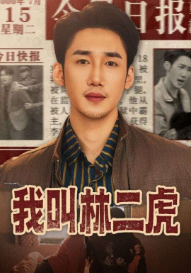 我叫林二虎封面图
