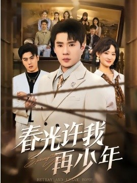 春光许我再少年封面图