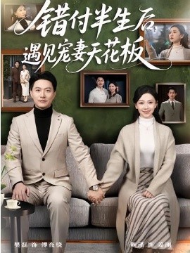 错付半生后遇见宠妻天花板封面图