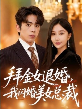 拜金女退婚我闪婚美女总裁封面图