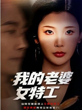 我的老婆女特工封面图