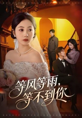 等风等雨等不到你封面图
