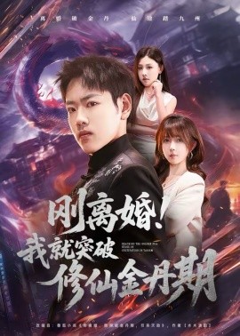 刚离婚！我就突破修仙金丹期封面图
