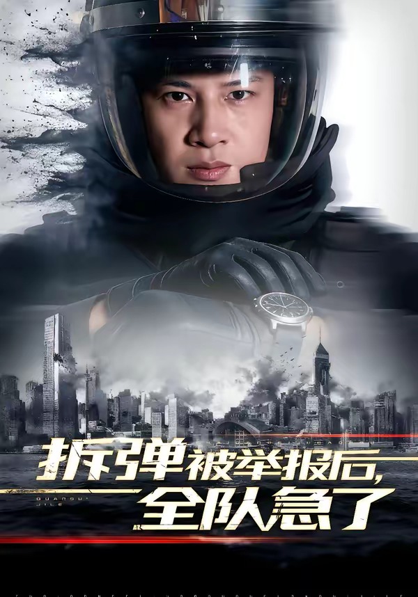 拆弹被举报后全队急了封面图