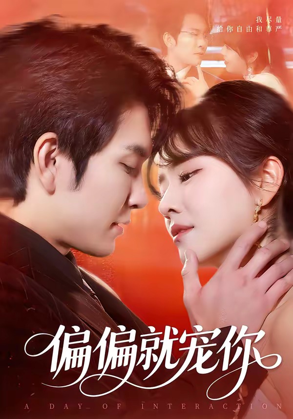 偏偏就宠你封面图
