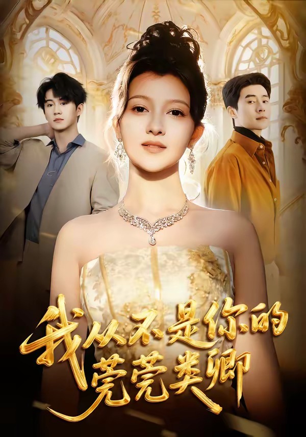 我从不是你的莞莞类卿封面图