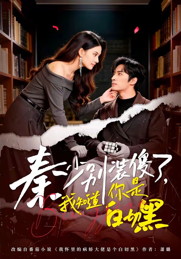 秦少别装傻了我知道你是白切黑封面图