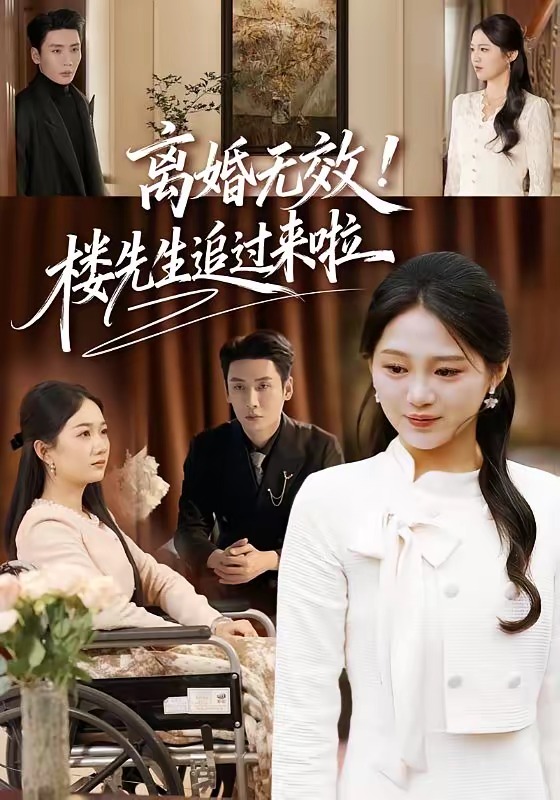 离婚无效楼先生追过来啦封面图