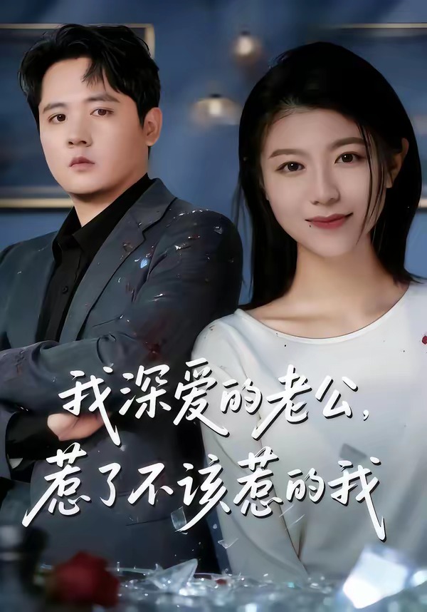 我深爱的老公惹了不该惹的我封面图