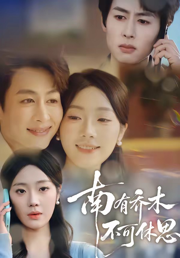 南有乔木不可休思封面图