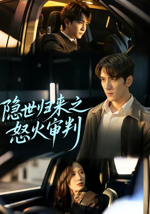 隐世归来之怒火审判封面图