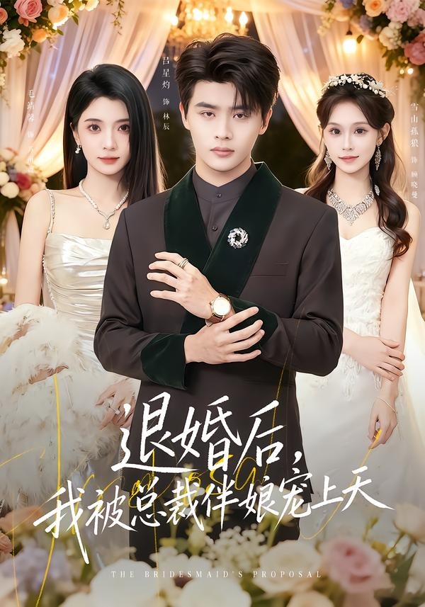 退婚后，我被总裁伴娘宠上天封面图