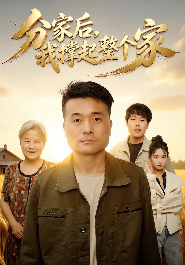 分家后我撑起整个家的封面图