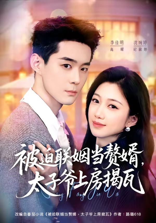 被迫联姻当赘婿，太子爷上房揭瓦的封面图