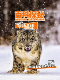 科探秘动物星球高山上的白色精灵雪豹封面图