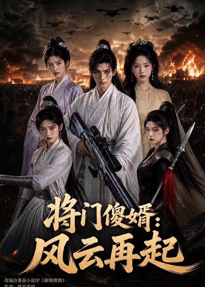将门傻婿：风云再起的封面图