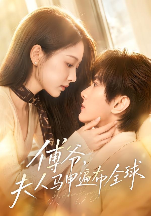 傅爷夫人马甲遍布全球封面图