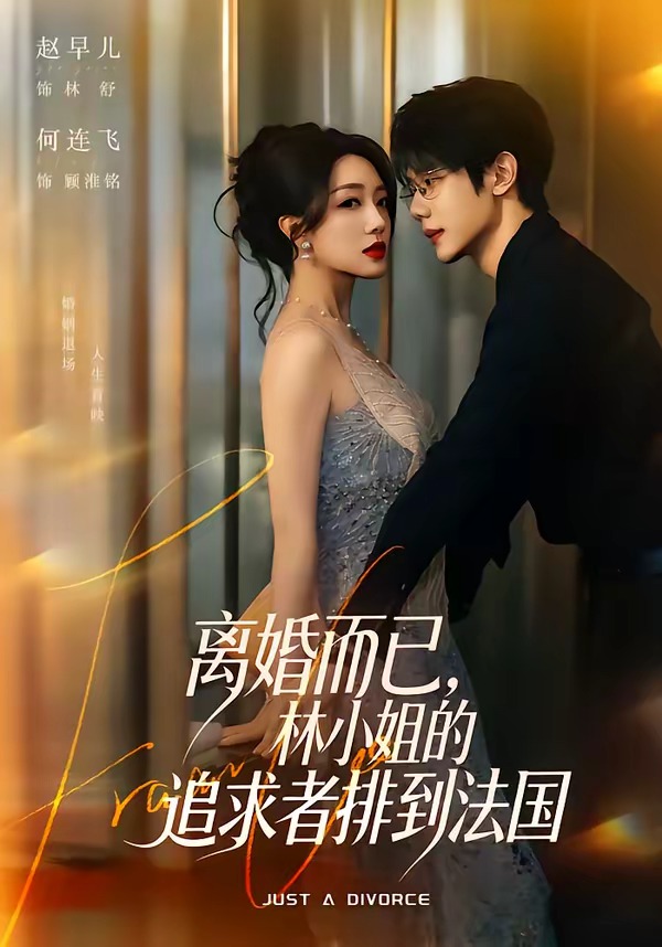 离婚而已,林小姐的追求者排到法国