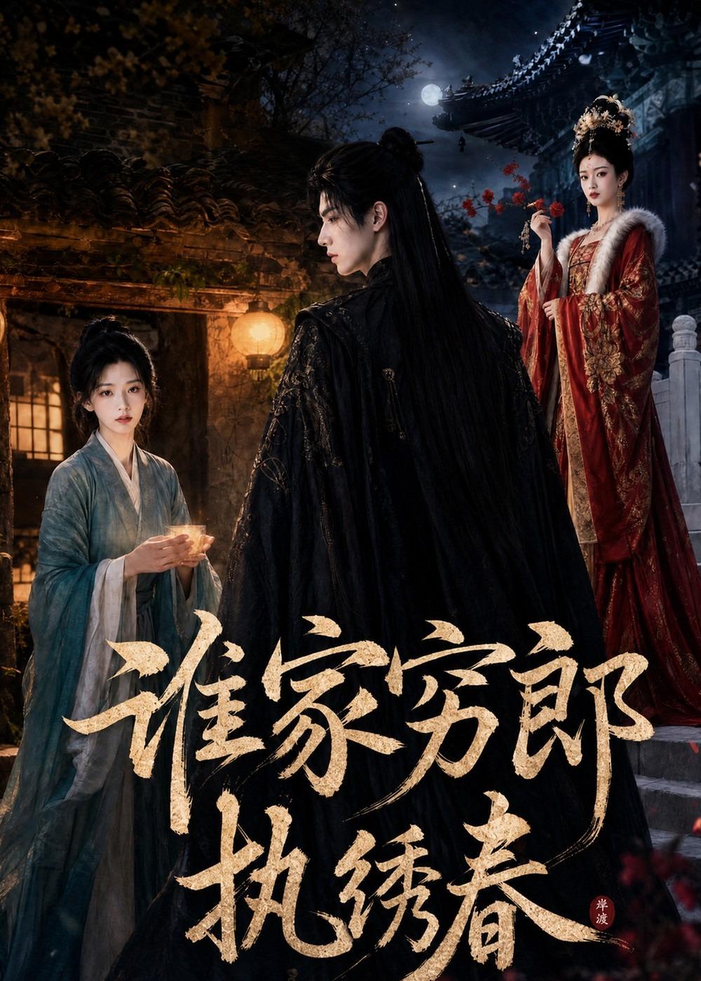 谁家穷郎执绣春海报