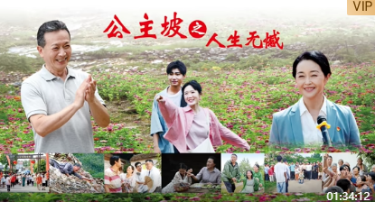 公主坡之人生无憾