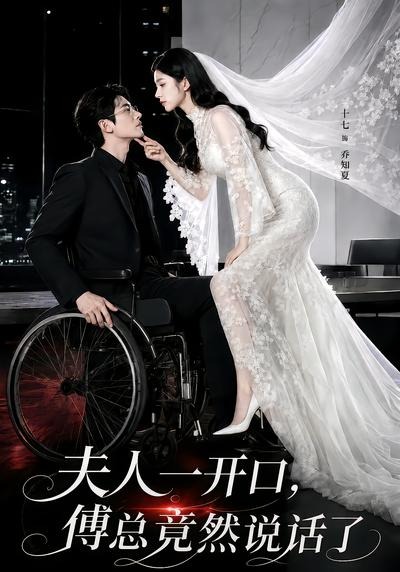 夫人一开口，傅总竟然说话了海报