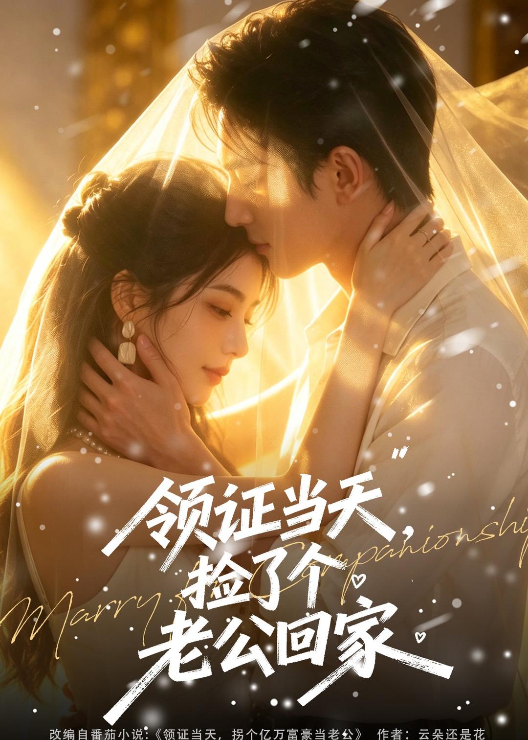 领证当天，捡了个老公回家海报