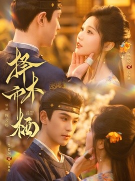 择木而栖