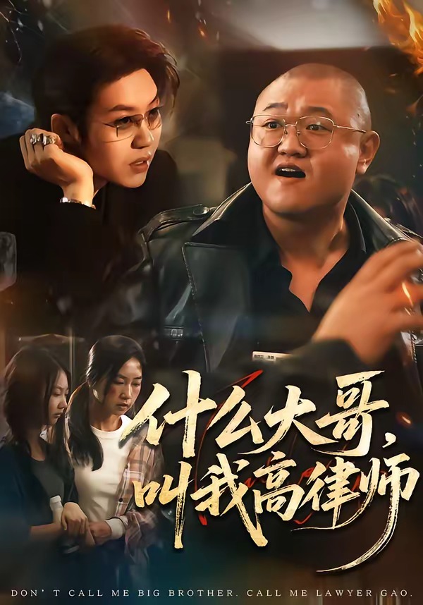 什么大哥叫我高律师封面图
