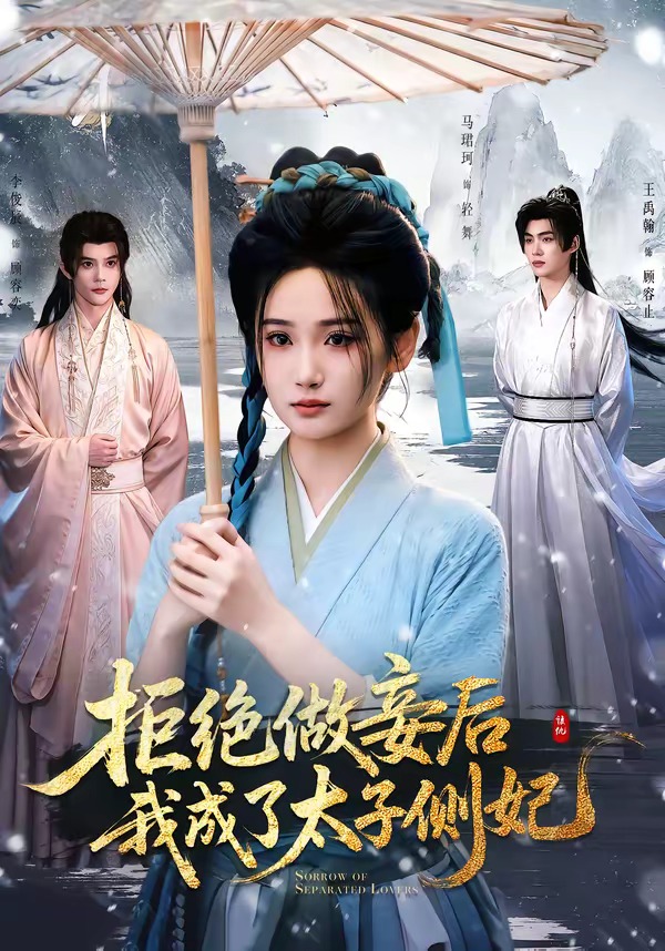 拒绝做妾后我成了太子侧妃封面图