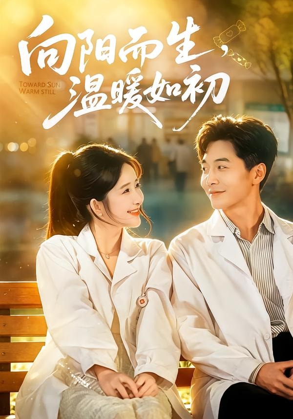向阳而生温暖如初封面图
