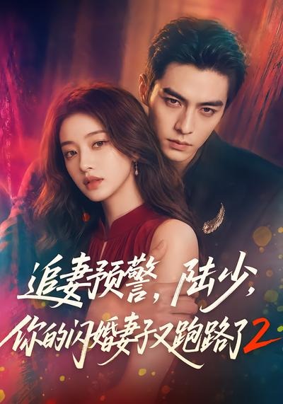 追妻预警,陆少,你的闪婚妻子又跑路了2