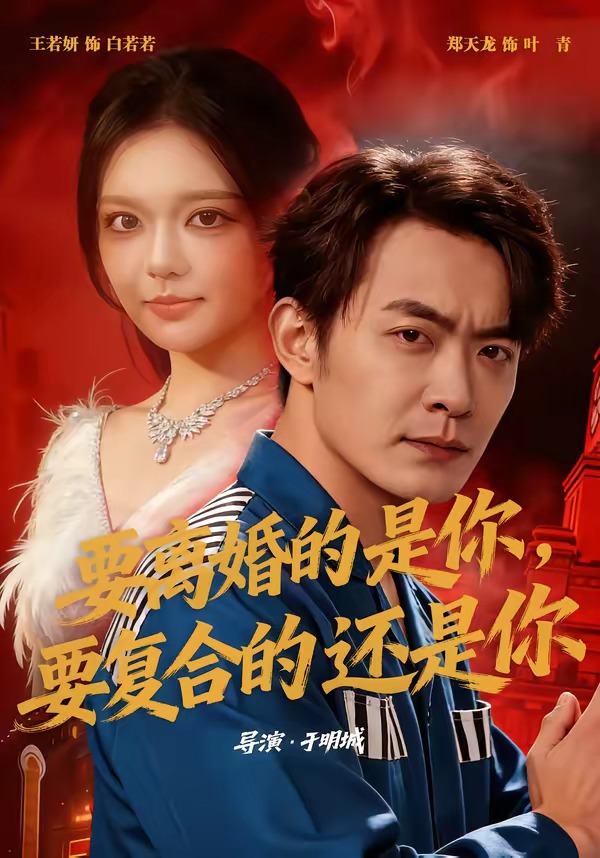 要离婚的是你,要复合的还是你