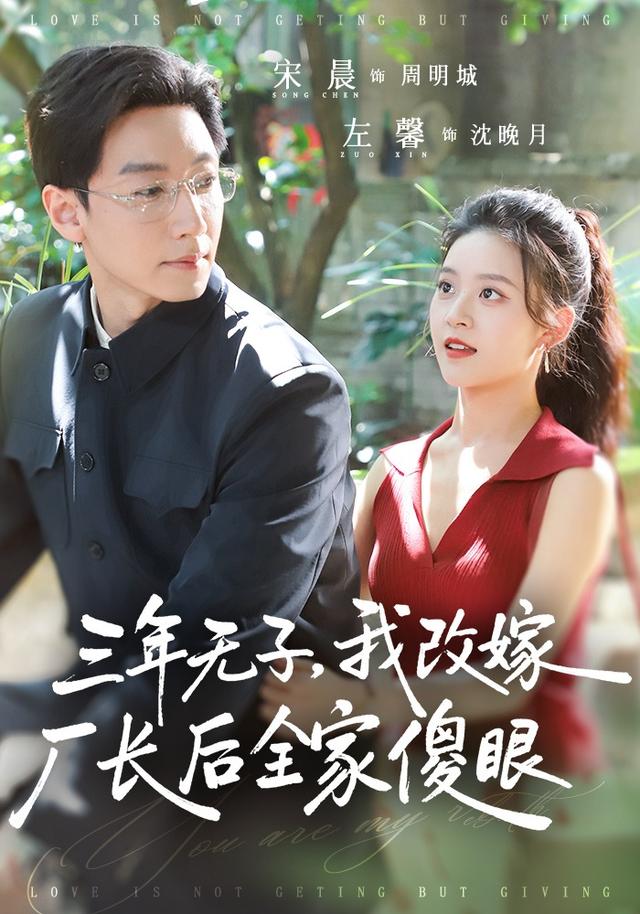 三年无子，我改嫁厂长后全家傻眼了