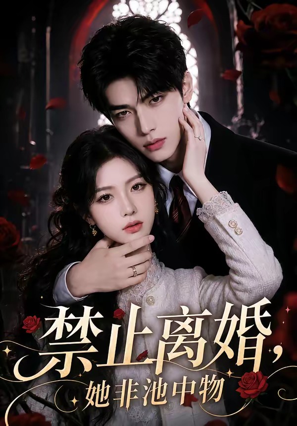 禁止离婚，她非池中物