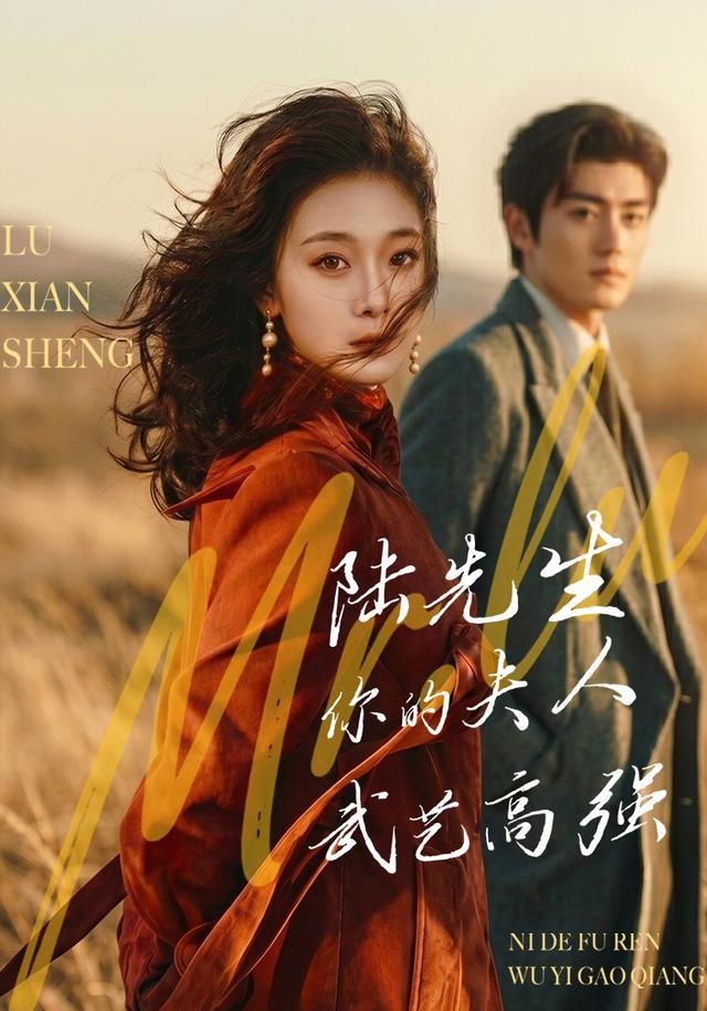 陆先生你的夫人武艺高强封面图
