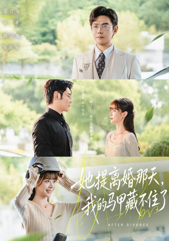 她提离婚那天我的马甲藏不住了封面图