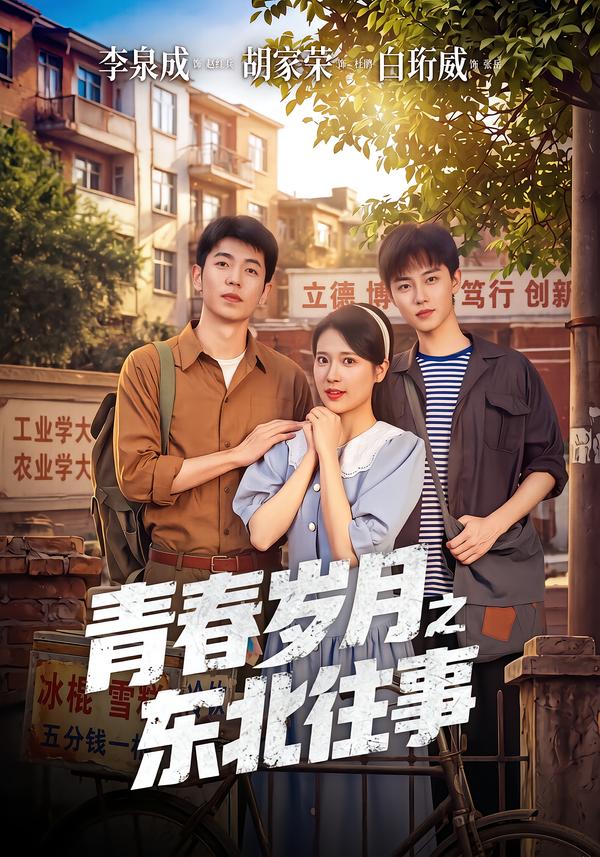 青春岁月之东北往事封面图