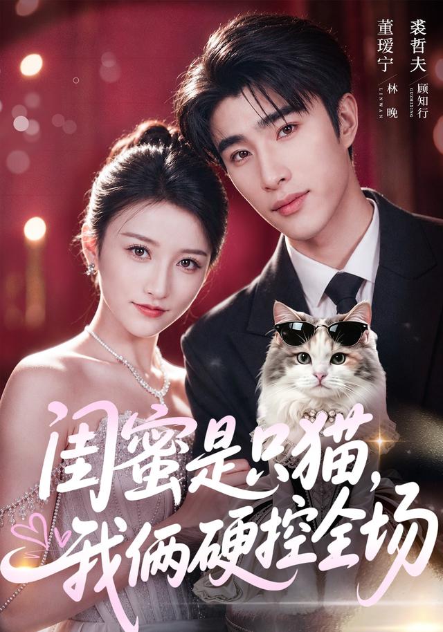 闺蜜是只猫，我俩硬控全场