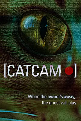 猫咪摄像头